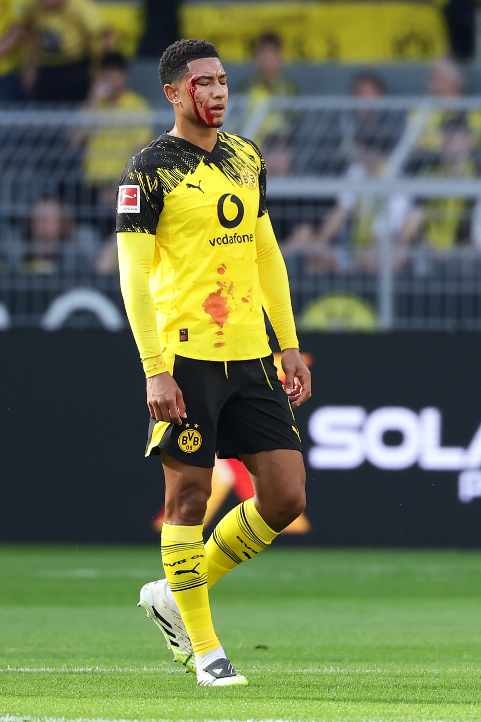 com, IFHMA, 贝林厄姆在 com, IFHMA, 贝林厄姆在