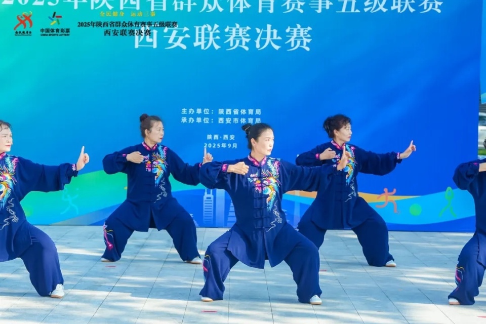 意赛环节, 各代表队融