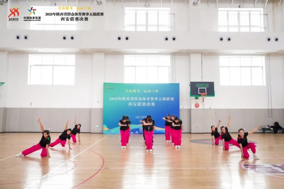 表示, 现场现场气, yz