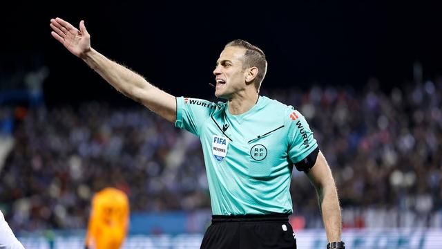 专家, 裁判技术委